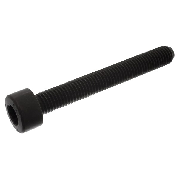 Ruuvi, kampiakselin laakeripesä FEBI BILSTEIN FEBI BILSTEIN