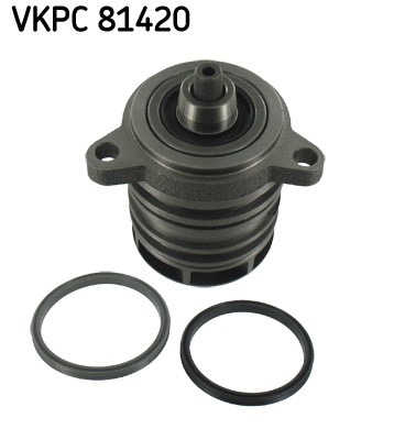 Vesipumppu SKF SKF Aquamax SKF