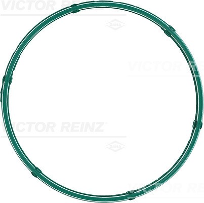 Tiiviste, imusarjan kotelo VICTOR REINZ VICTOR REINZ