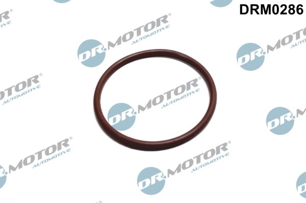 Tiiviste, polttoainepumppu DR.MOTOR AUTOMOTIVE Dr.Motor Automotive