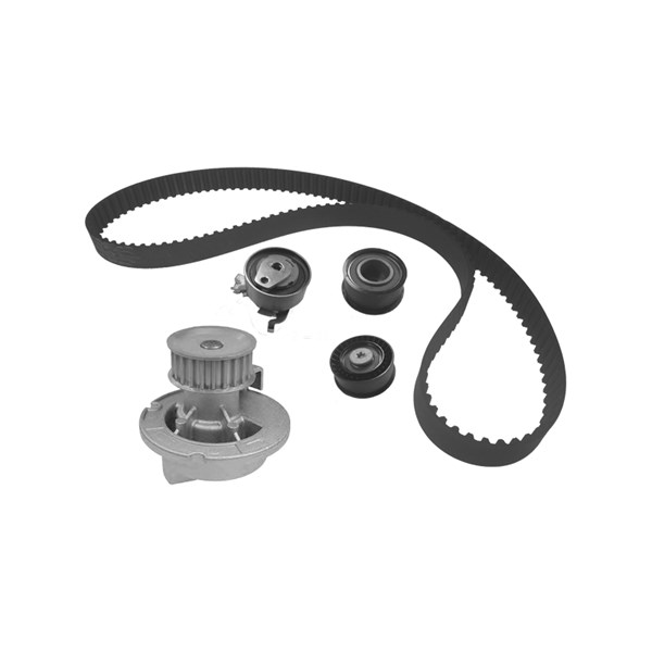 Vesipumppu + jakohihnasarja DOLZ DOLZ