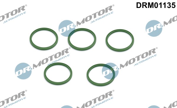 Tiivisterengas, ahtoilmaletku DR.MOTOR AUTOMOTIVE Dr.Motor Automotive