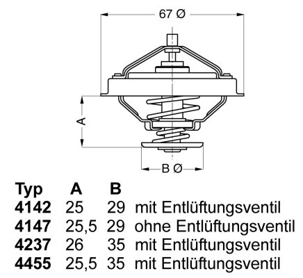 Termostaatti, jäähdytysneste BORGWARNER (WAHLER) BorgWarner (Wahler)