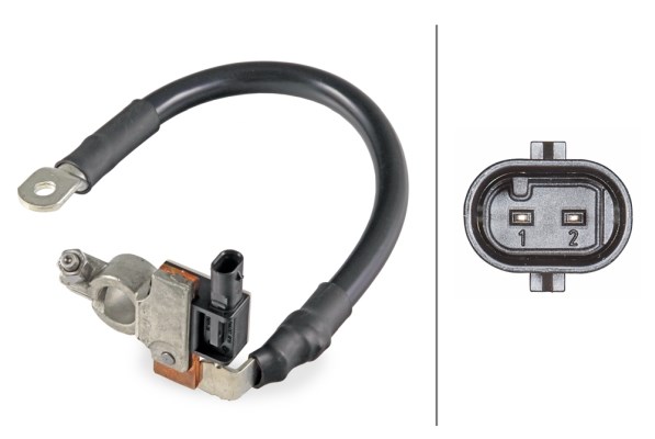 Sensori,akkujen ohjausjärjest. 12V HELLA HELLA