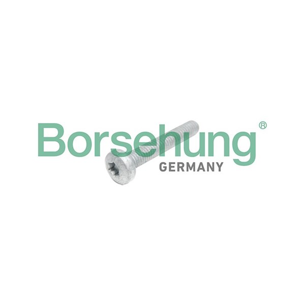 Sylinterikannen pultit BORSEHUNG Borsehung