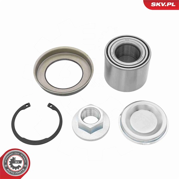 Pyöränlaakerisarja, Taka-akseli, Taka-akseli, oikea, Taka-akseli, ESEN SKV