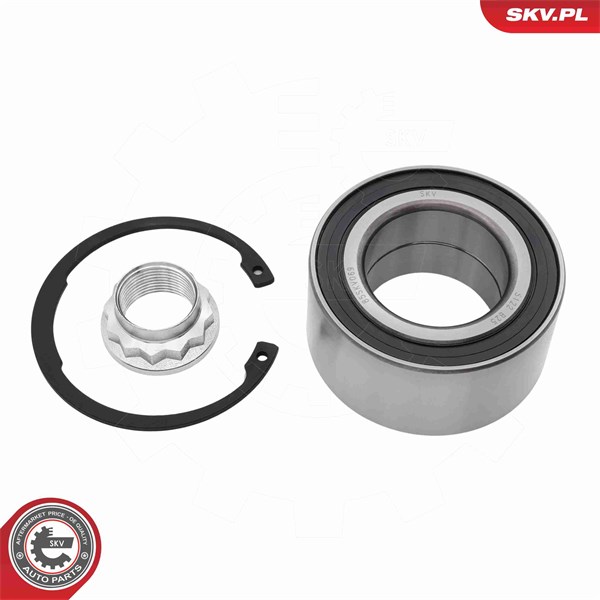 Pyöränlaakerisarja, Taka-akseli ESEN SKV ESEN SKV