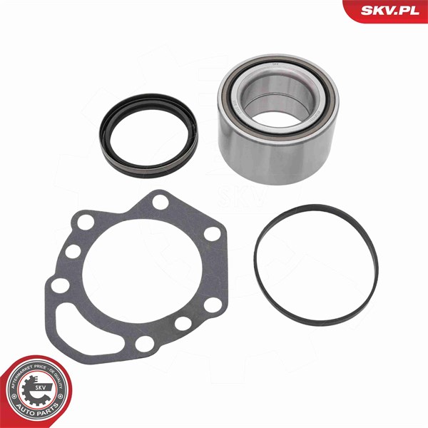 Pyöränlaakerisarja, Taka-akseli ESEN SKV ESEN SKV