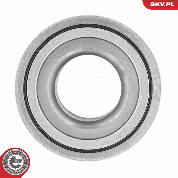 Pyöränlaakerisarja, Taka-akseli ESEN SKV ESEN SKV