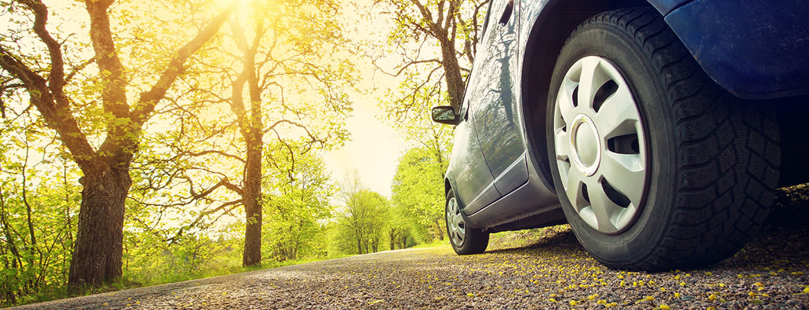 Auton rengas aurinkoisella maantiellä vihreiden puiden keskellä.